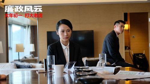 廉政风云演员,群星云集，揭秘反腐风暴