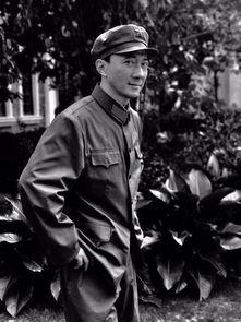 芳华赵立新个人资料,从芳华到舞台，探寻赵立新的艺术人生