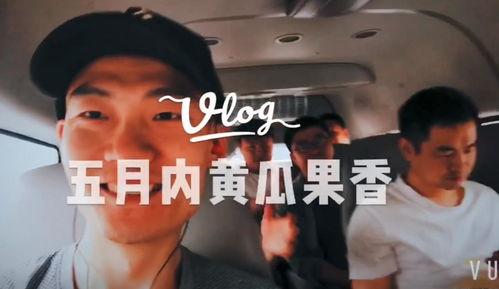 娱乐主播带你吃瓜,娱乐主播带你领略吃瓜界的风云变幻