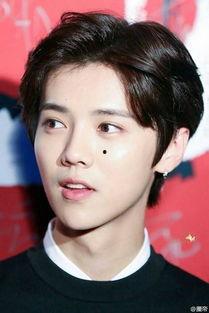 娱乐圈撞脸鹿晗,撞脸鹿晗的神秘面孔引发热议